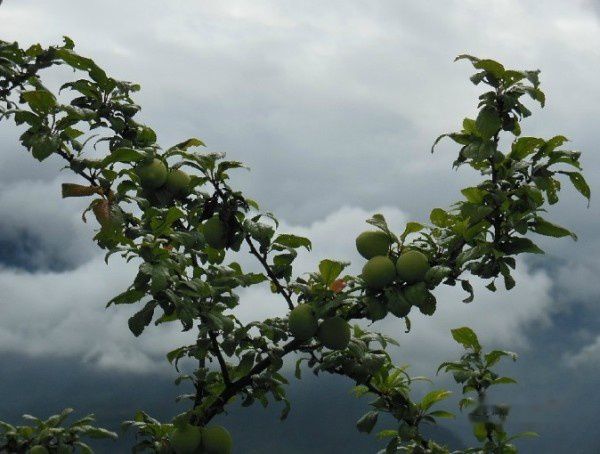 查看照片详细信息 天下民宿