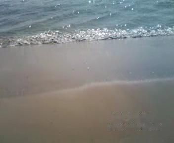 查看照片详细信息 天下民宿