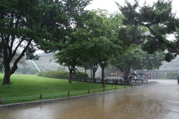 查看照片详细信息 天下民宿