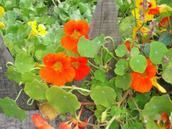 查看照片详细信息 天下民宿