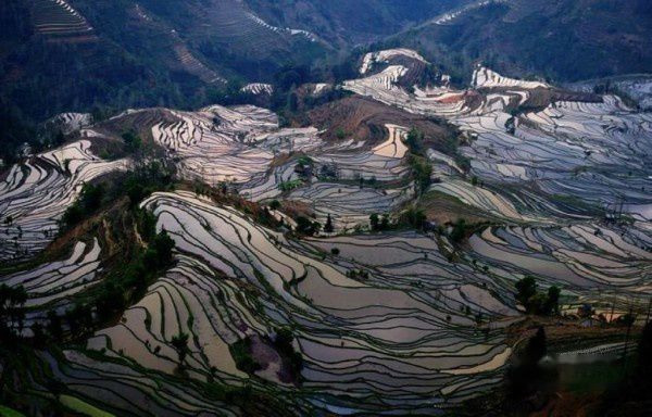 查看照片详细信息 天下民宿