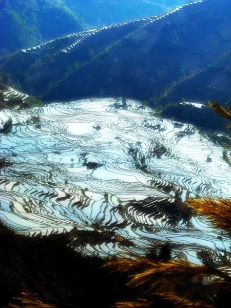 查看照片详细信息 天下民宿