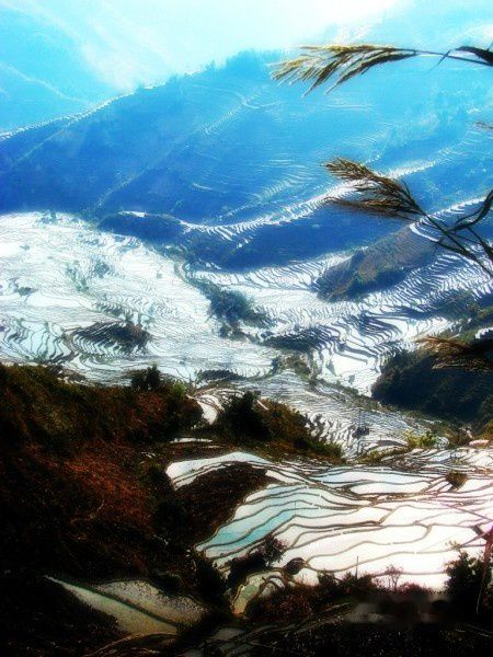 查看照片详细信息 天下民宿