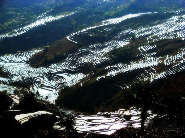 查看照片详细信息 天下民宿