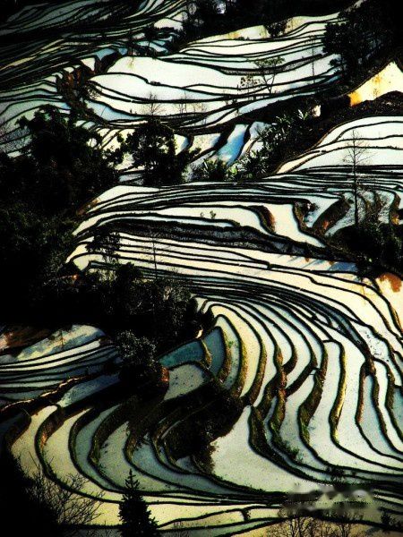 查看照片详细信息 天下民宿