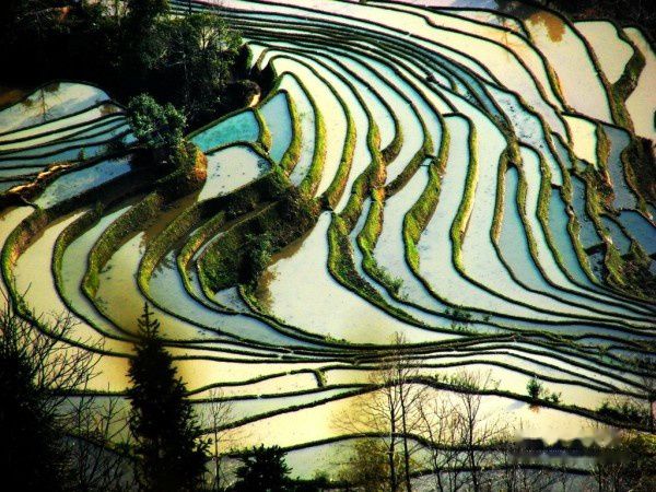 查看照片详细信息 天下民宿