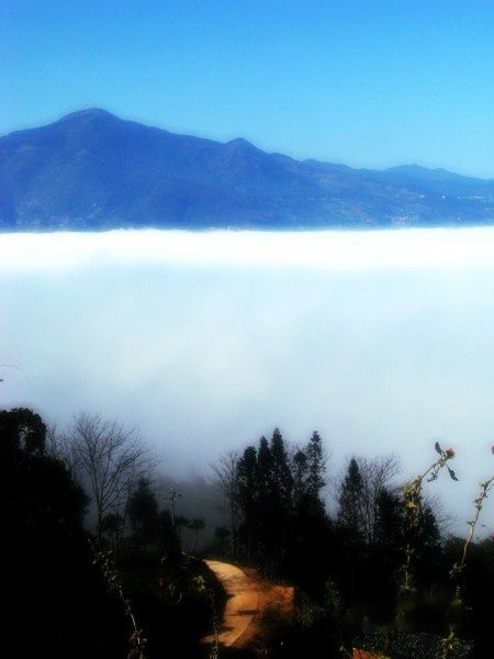 查看照片详细信息 天下民宿