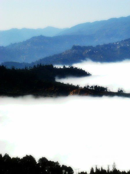 查看照片详细信息 天下民宿