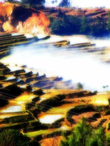 查看照片详细信息 天下民宿