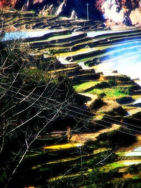 查看照片详细信息 天下民宿