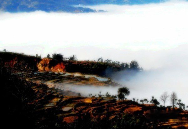 查看照片详细信息 天下民宿