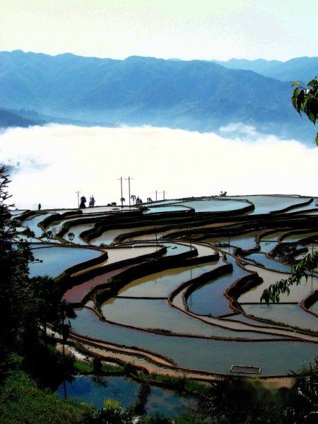 查看照片详细信息 天下民宿