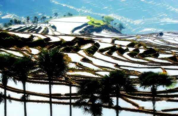 查看照片详细信息 天下民宿