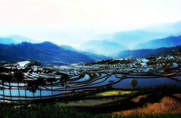 查看照片详细信息 天下民宿