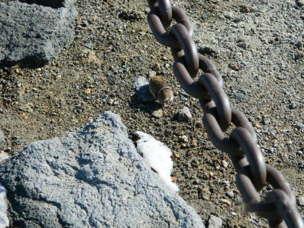 查看照片详细信息 天下民宿