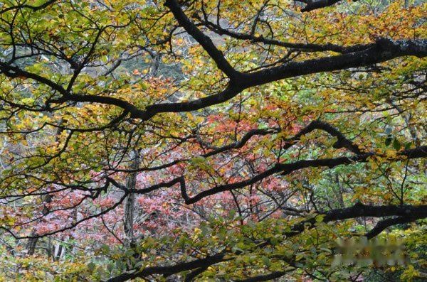 查看照片详细信息 天下民宿