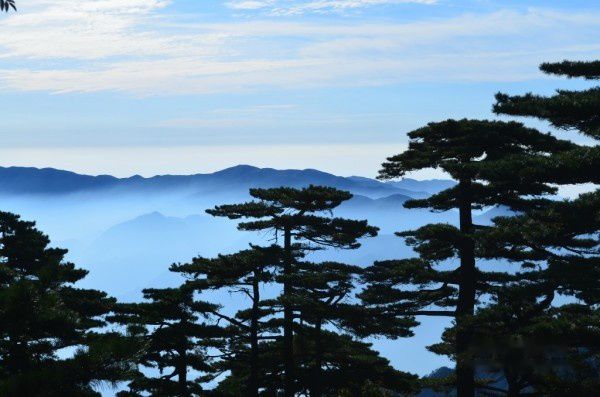 查看照片详细信息 天下民宿