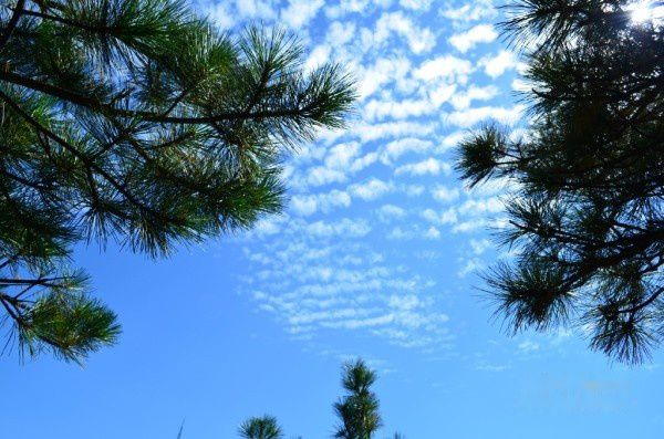 查看照片详细信息 天下民宿