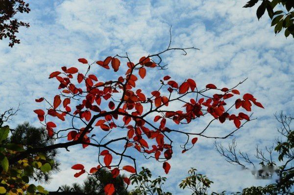 查看照片详细信息 天下民宿