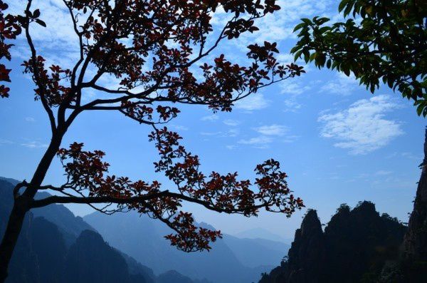 查看照片详细信息 天下民宿