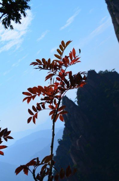 查看照片详细信息 天下民宿