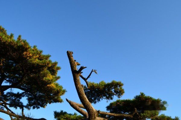 查看照片详细信息 天下民宿