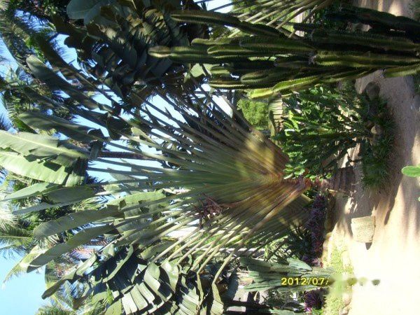 查看照片详细信息 天下民宿