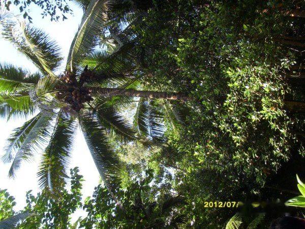 查看照片详细信息 天下民宿