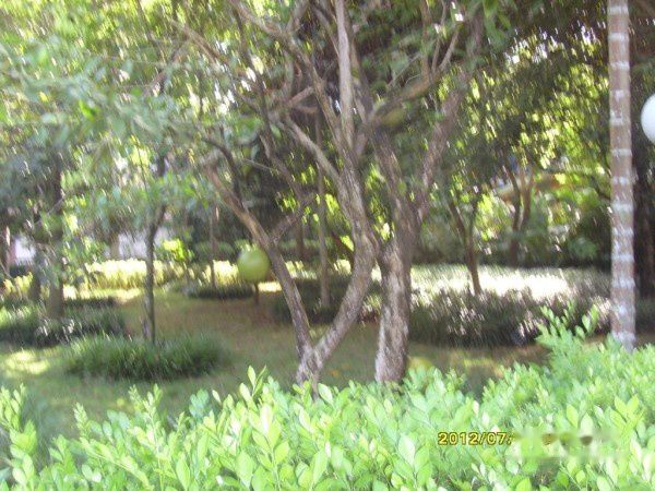 查看照片详细信息 天下民宿