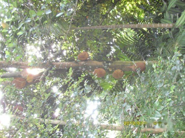 查看照片详细信息 天下民宿