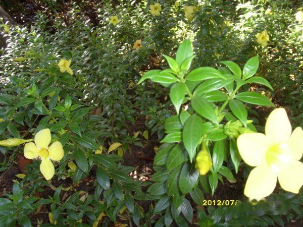 查看照片详细信息 天下民宿