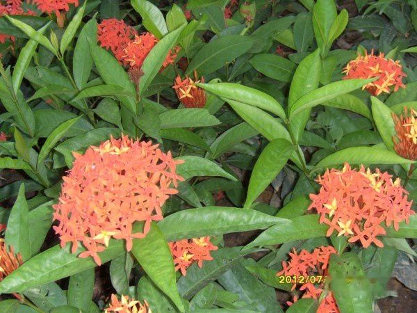 查看照片详细信息 天下民宿