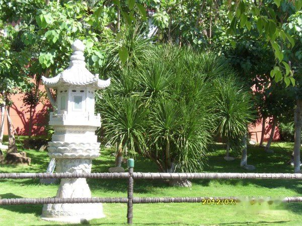 查看照片详细信息 天下民宿