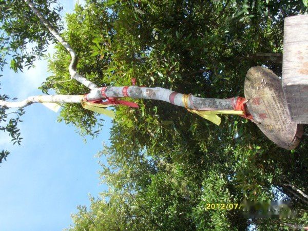 查看照片详细信息 天下民宿