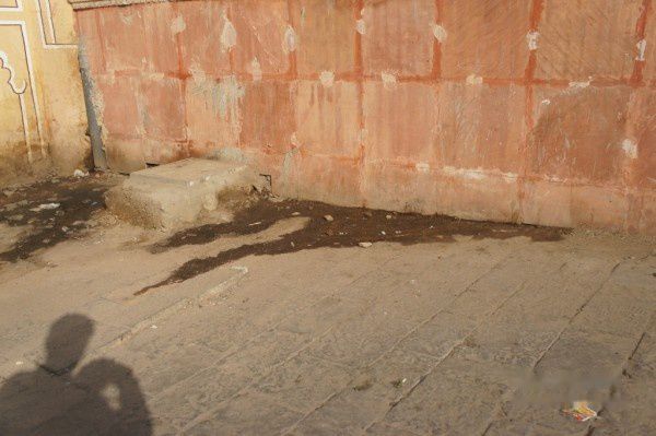 查看照片详细信息 天下民宿