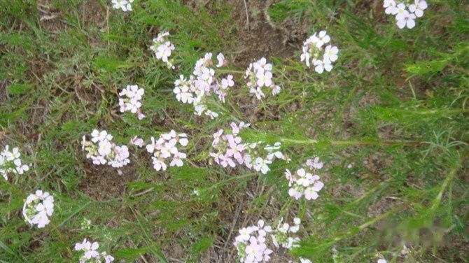 查看照片详细信息 天下民宿