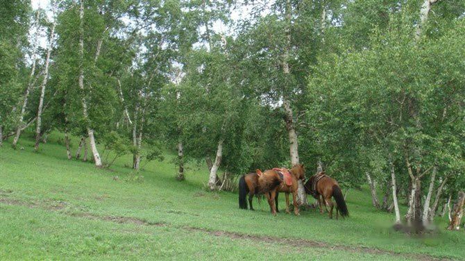 查看照片详细信息 天下民宿