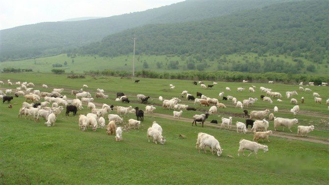 查看照片详细信息 天下民宿