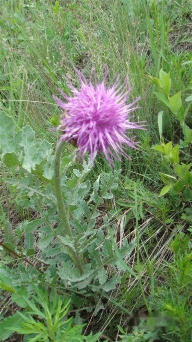 查看照片详细信息 天下民宿