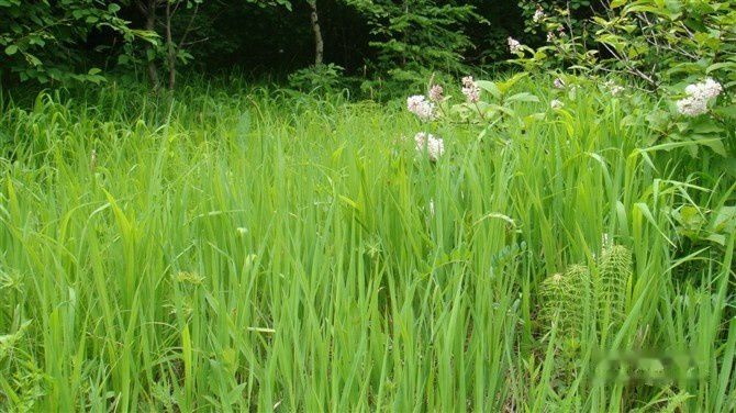 查看照片详细信息 天下民宿