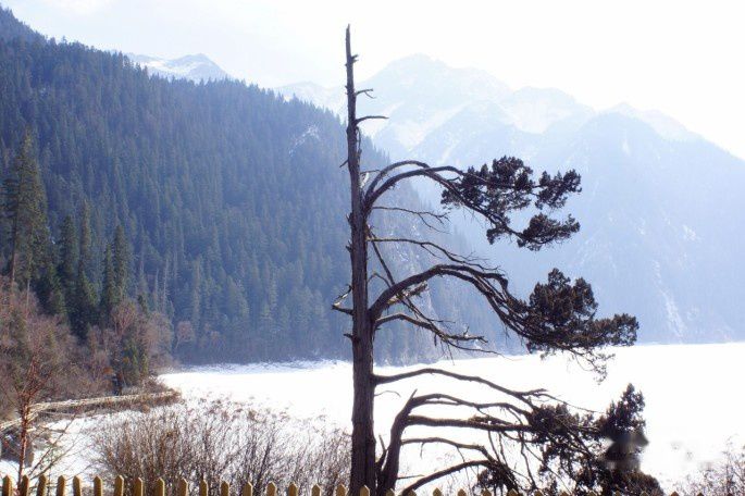 查看照片详细信息 天下民宿