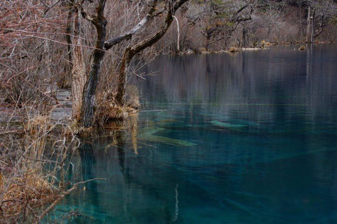 查看照片详细信息 天下民宿