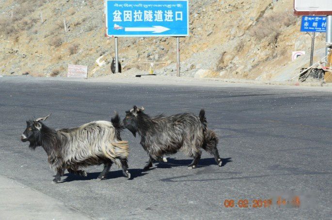 查看照片详细信息 天下民宿