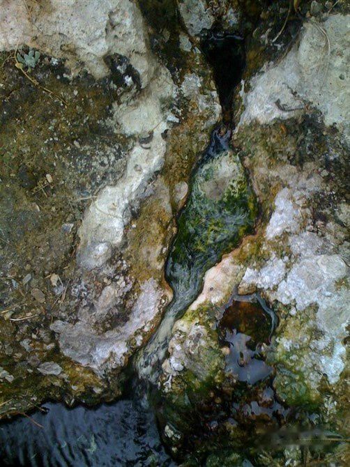 查看照片详细信息 天下民宿