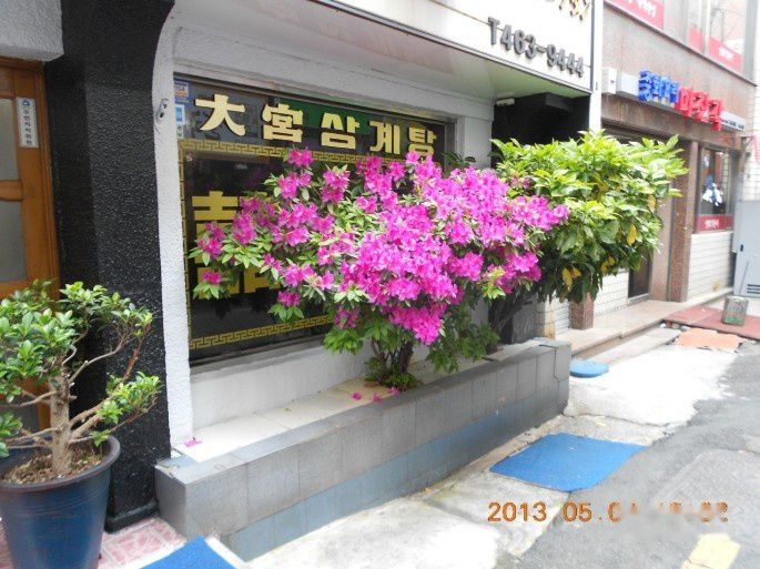 查看照片详细信息 天下民宿