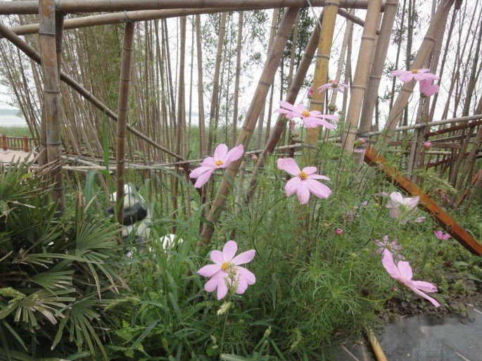 查看照片详细信息 天下民宿