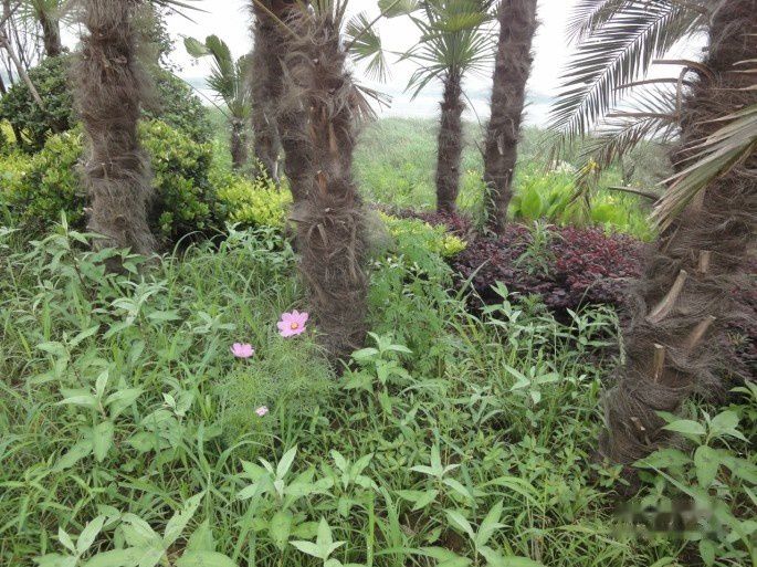 查看照片详细信息 天下民宿