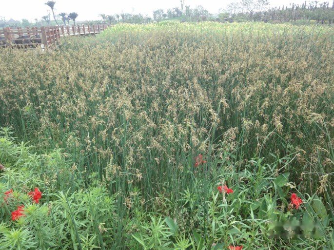 查看照片详细信息 天下民宿