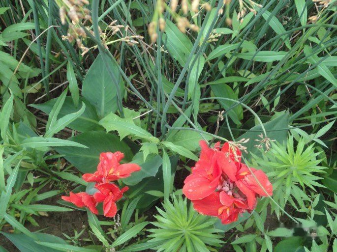 查看照片详细信息 天下民宿