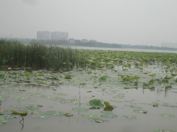 查看照片详细信息 天下民宿